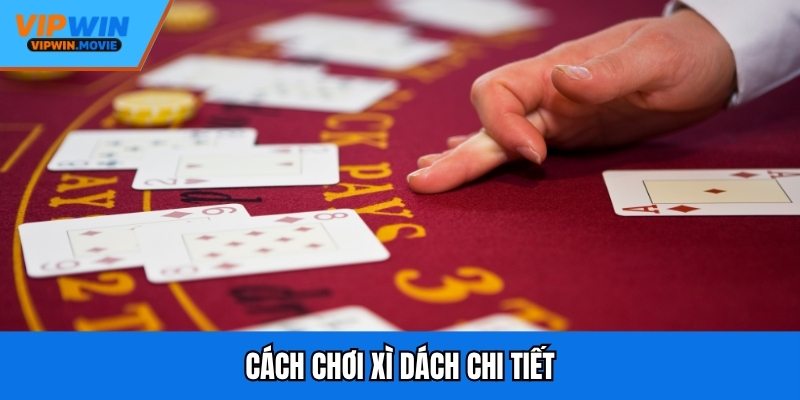 Cách chơi xì dách chi tiết