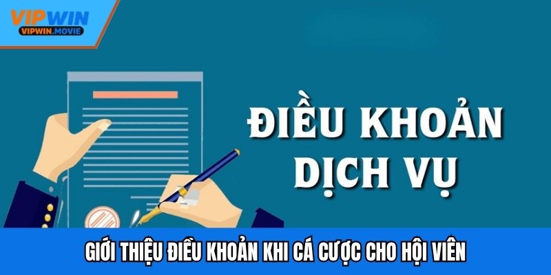 Giới thiệu điều khoản khi cá cược cho hội viên