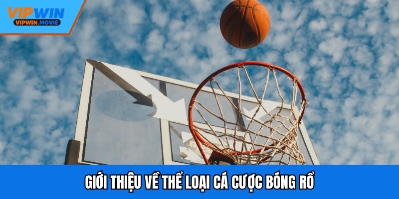 Giới thiệu về thể loại cá cược bóng rổ